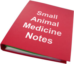 A student's notes